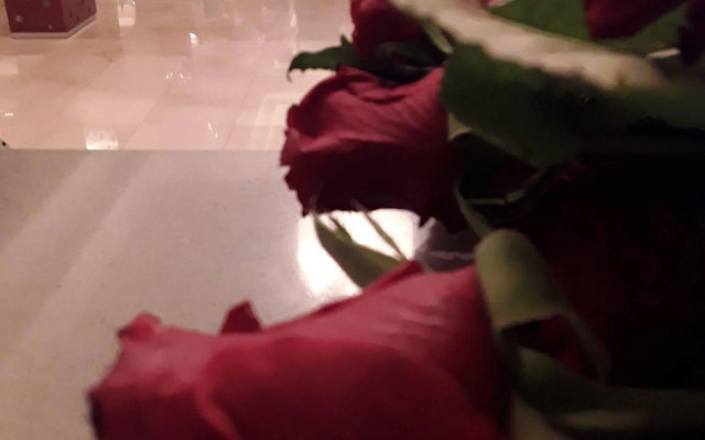 Prince Franklyn Hotel