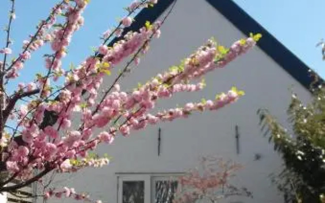 Bed And Breakfast Woudsend