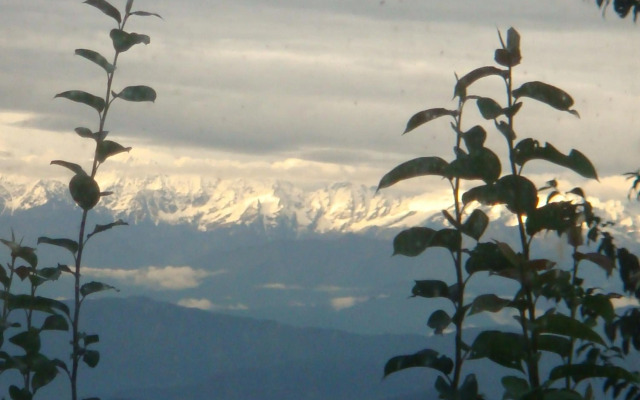 Shiva Guest House