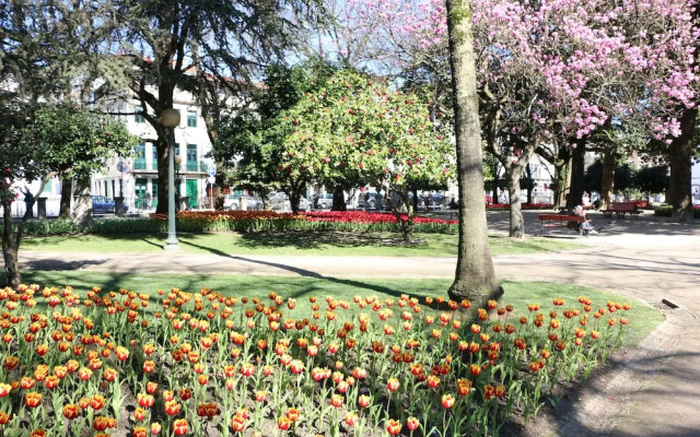 Oporto Invite São Lázaro Charming
