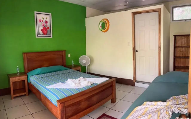 Hostal Oasis The Traveler - Hostel