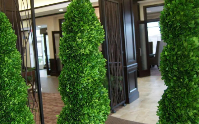 Hilton Garden Inn New Braunfels