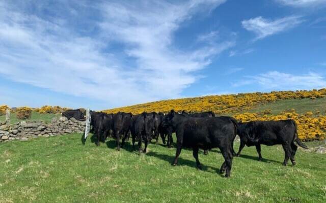 Traditional Bothy Accommodation