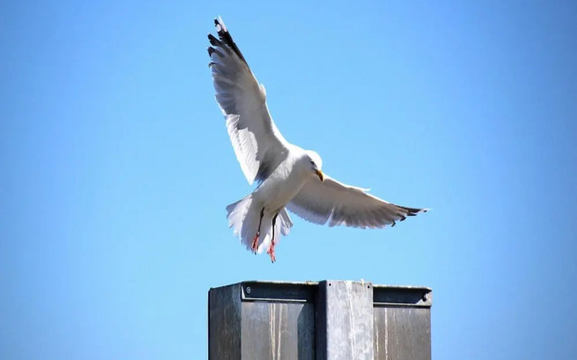 Bungalow Klonsnack, Dornumersiel