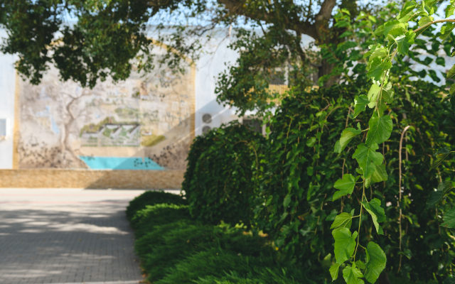 Полтава-Крым