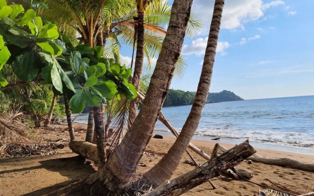 Cabinas Pura Vida Bed & Breakfast