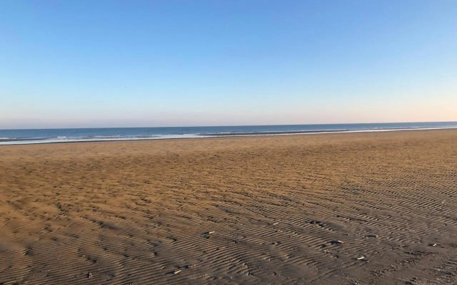 Appartement sur la plage de Malo les bains vue mer