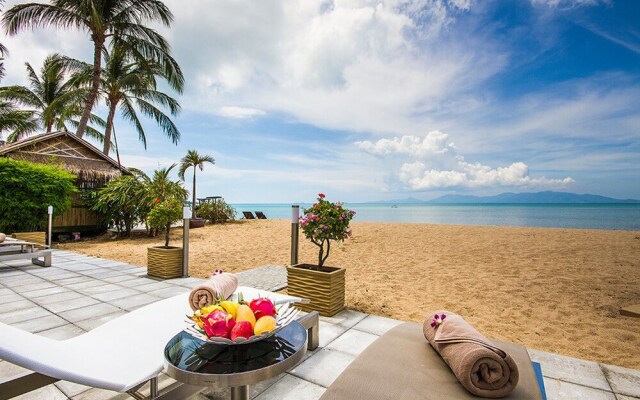B1 Aqua Organic Suites
