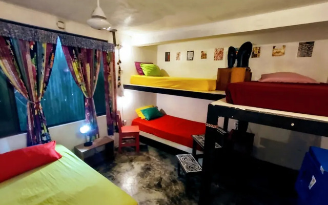 Casa Jungla Hostel