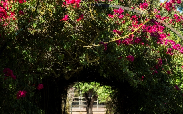 Quinta da Praia das Fontes