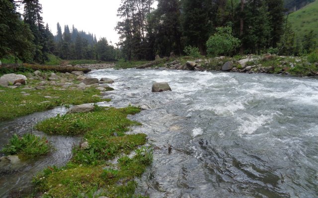 The Himalayan Alpine