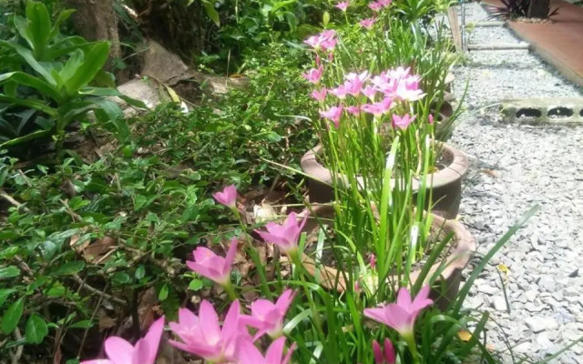 Rim Than View Resort