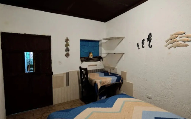 Wonderland Hostel