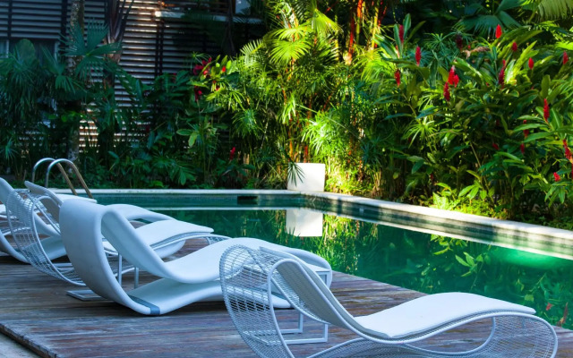 Le Cameleon Puerto Viejo