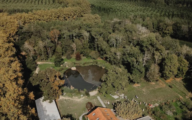 Domaine De La Felicità