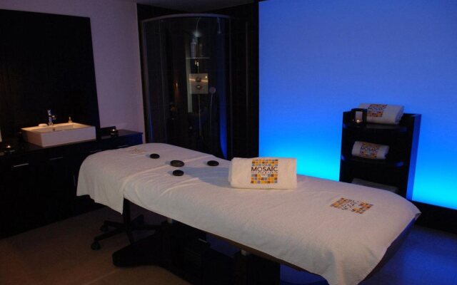 Hôtel Relais & Châteaux Georges Blanc Parc & Spa