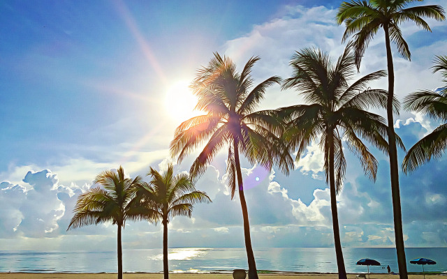 Hollywood Beach Marriott