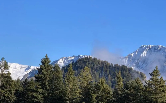 Serene Alpine Stay for 6 Guests