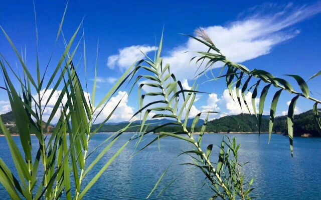 Romaine Vacation Apartment