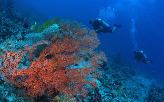 Blue Hill Dive Resort Tulamben