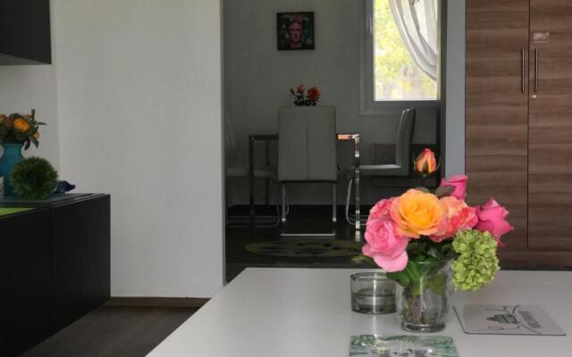 Nagyerdei Rózsahegy 1 Apartman Greatforest Rosehill 1 Apartment