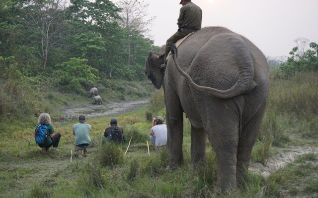 Tiger Tops Tharu Lodge