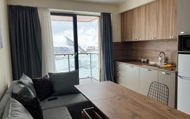 Delux apartment for 6 guest, new gudauri