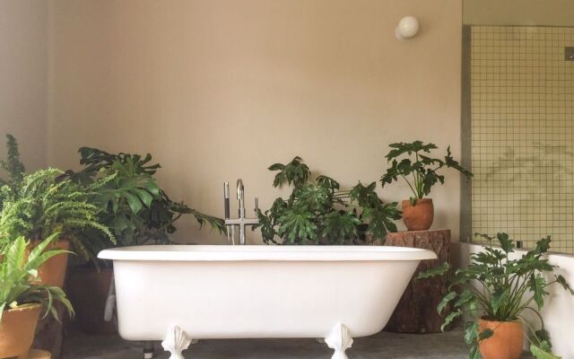 Chaya B & B Boutique