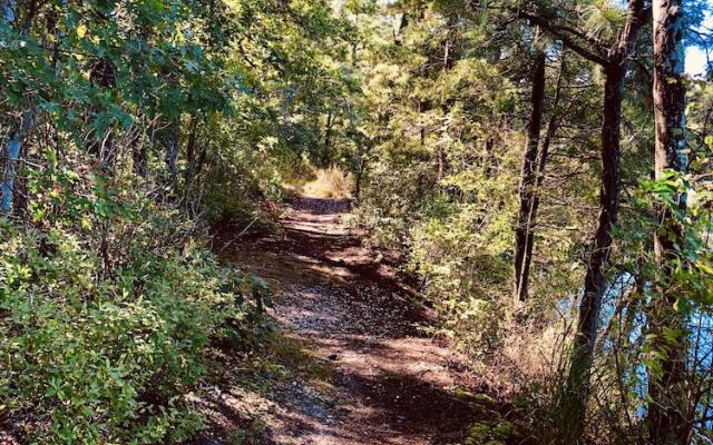 Swan Lake Resort Rentals