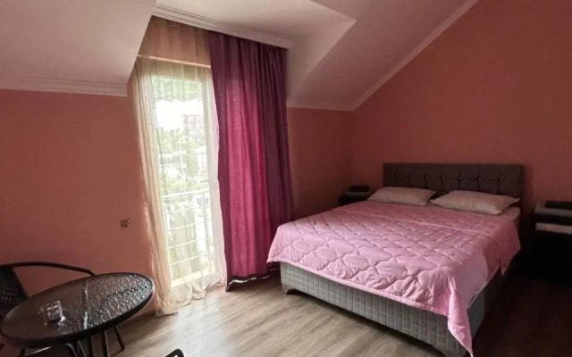 Guest House Rustaveli 301
