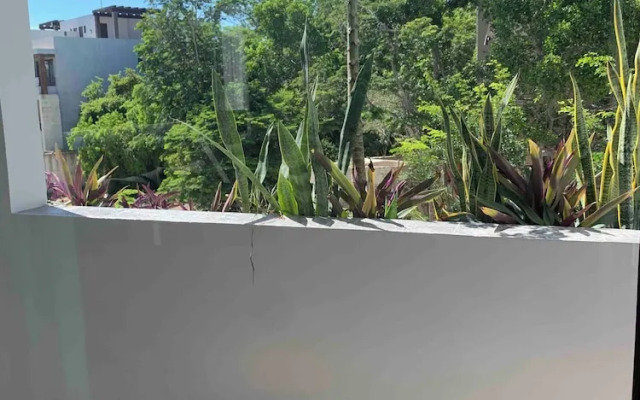 Perfect Studio Light and Nature in Aldea Zama