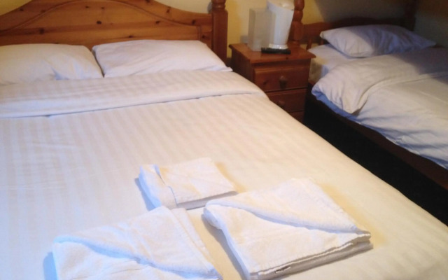 Twin Lions Hotel