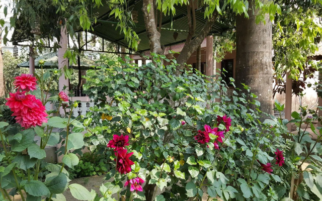 Sauraha Resort