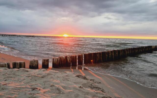 Zingst Achtern Diek 12d Elly
