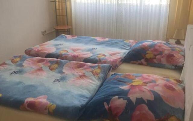 Reichenbach Apartment