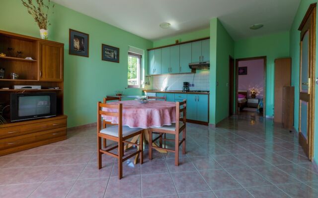 Apartments Rino