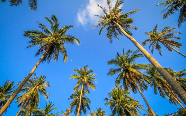 Terrace Green Hotel & Spa