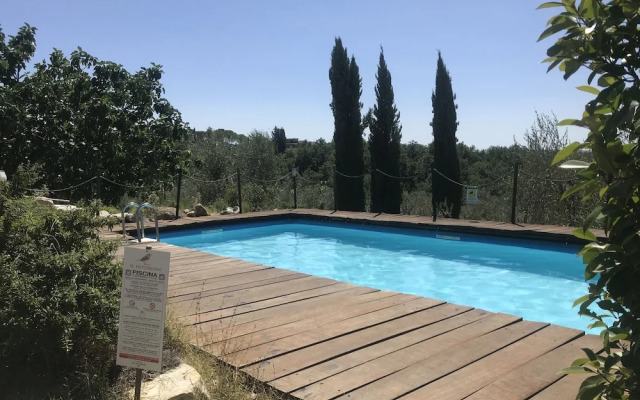 Il Pettirosso di Siena