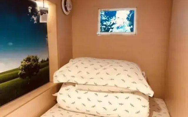 The Olive Tree Capsule Hostel