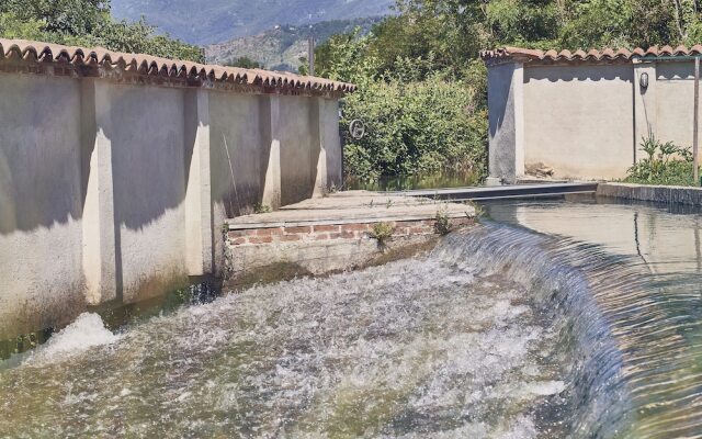 AQVAE Unconventional Country House