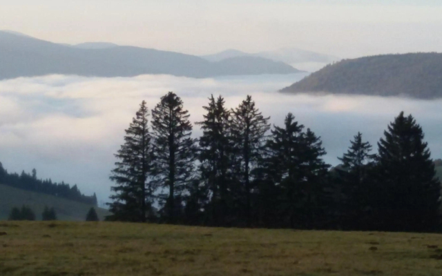 Schöne Aussicht