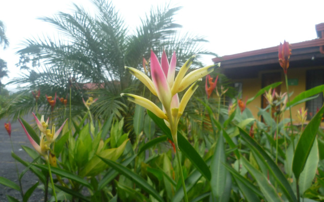 Hotel Destinos Arenal