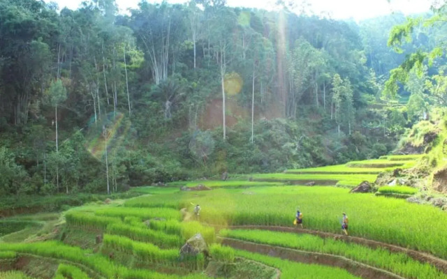 Toraja Misiliana Hotel