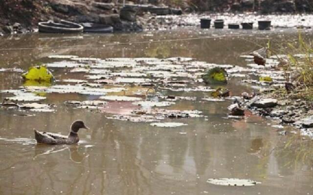 Yeoju Haneuljeongwon Pension