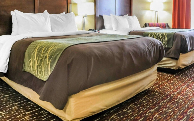 Comfort Inn & Suites Artesia