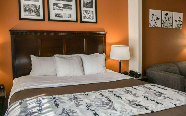 Sleep Inn & Suites Highway 290/NW Freeway