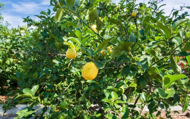 Carissa house in Crete