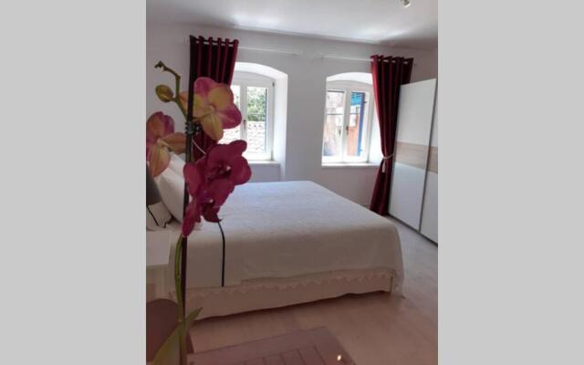 Comfortable studio in old town