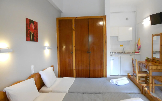 Anemona Studios