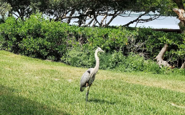 Runaway Bay Resort by BBG